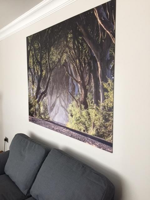 Dark Hedges Cottage Ballycastle Exterior photo